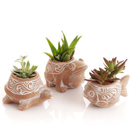 Bangladesh CLEARANCE Pond Critter Planter, Bangladesh Fish