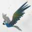 Flying Mobile - Blue Cockatiel