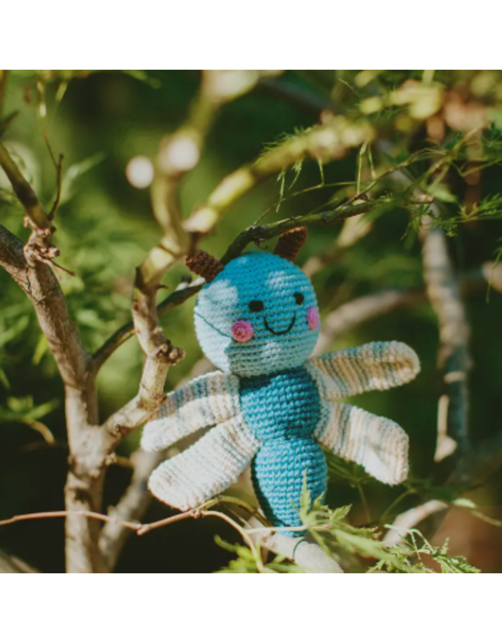 Bangladesh Dragonfly Rattle, Bangladesh