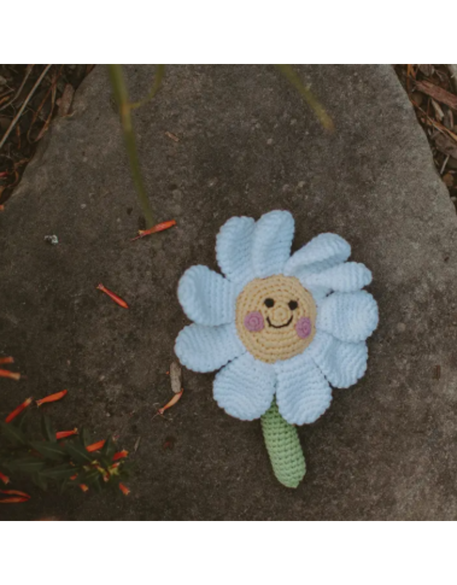 Bangladesh Daisy Flower Rattle, Bangladesh