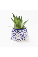 India Lalita Large Succulent Turtle Planter, India