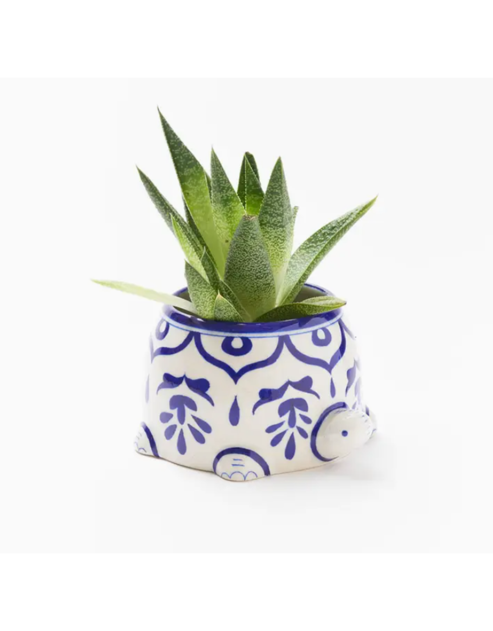 India Lalita Large Succulent Turtle Planter, India