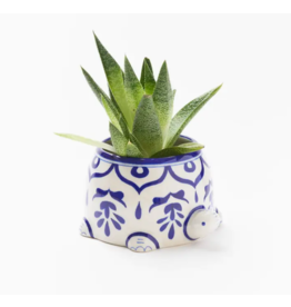 India Lalita Large Succulent Turtle Planter, India