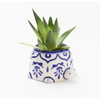 India Lalita Large Succulent Turtle Planter
