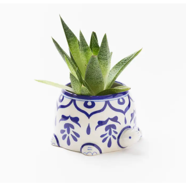 Lalita Large Succulent Turtle Planter