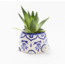 India Lalita Large Succulent Turtle Planter