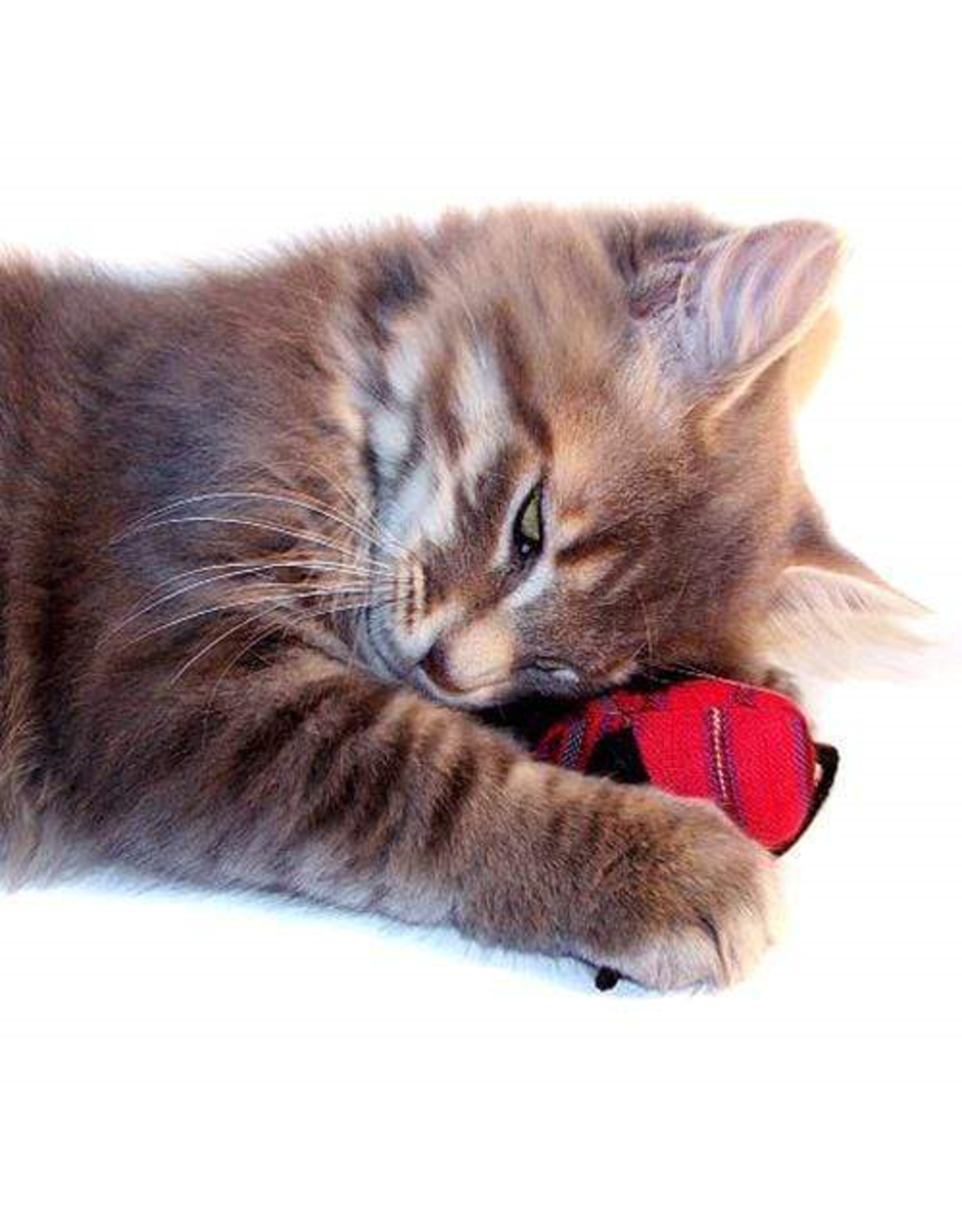 Guatemala Organic Catnip Mouse, Guatemala