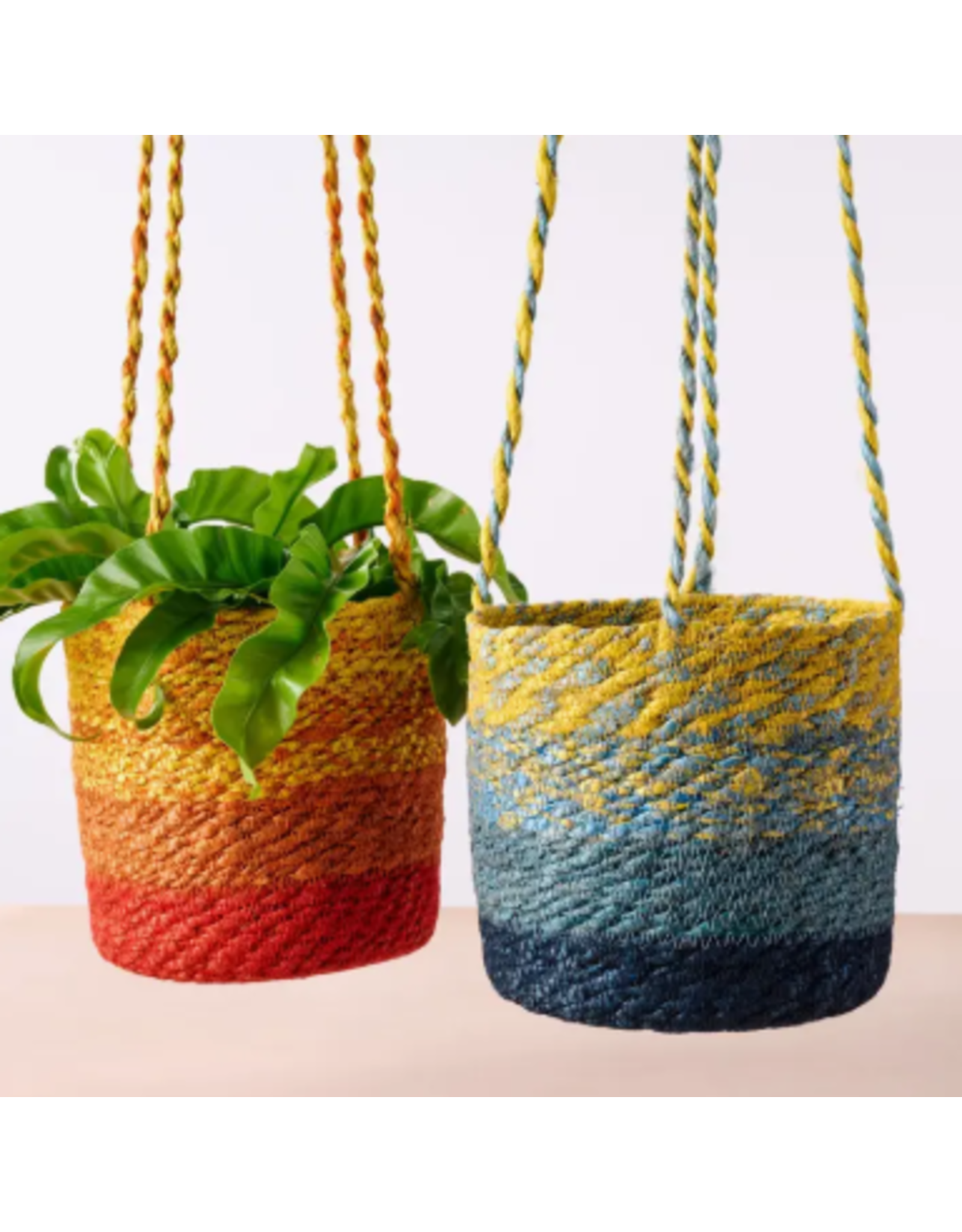 Bangladesh Buna Jute Plant Hanger, Bangladesh