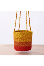 Bangladesh Buna Jute Plant Hanger, Bangladesh