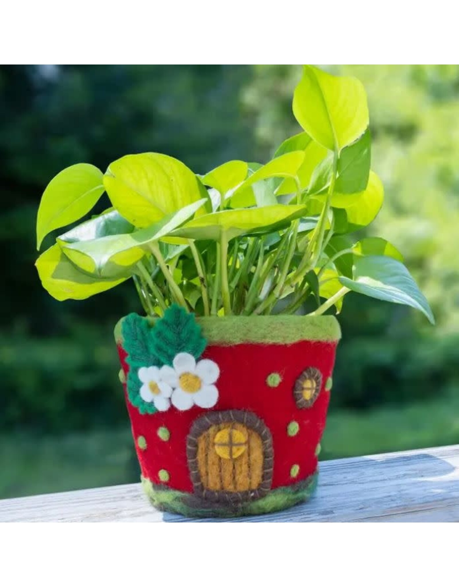 Nepal Strawberry Cottage Felt Pot