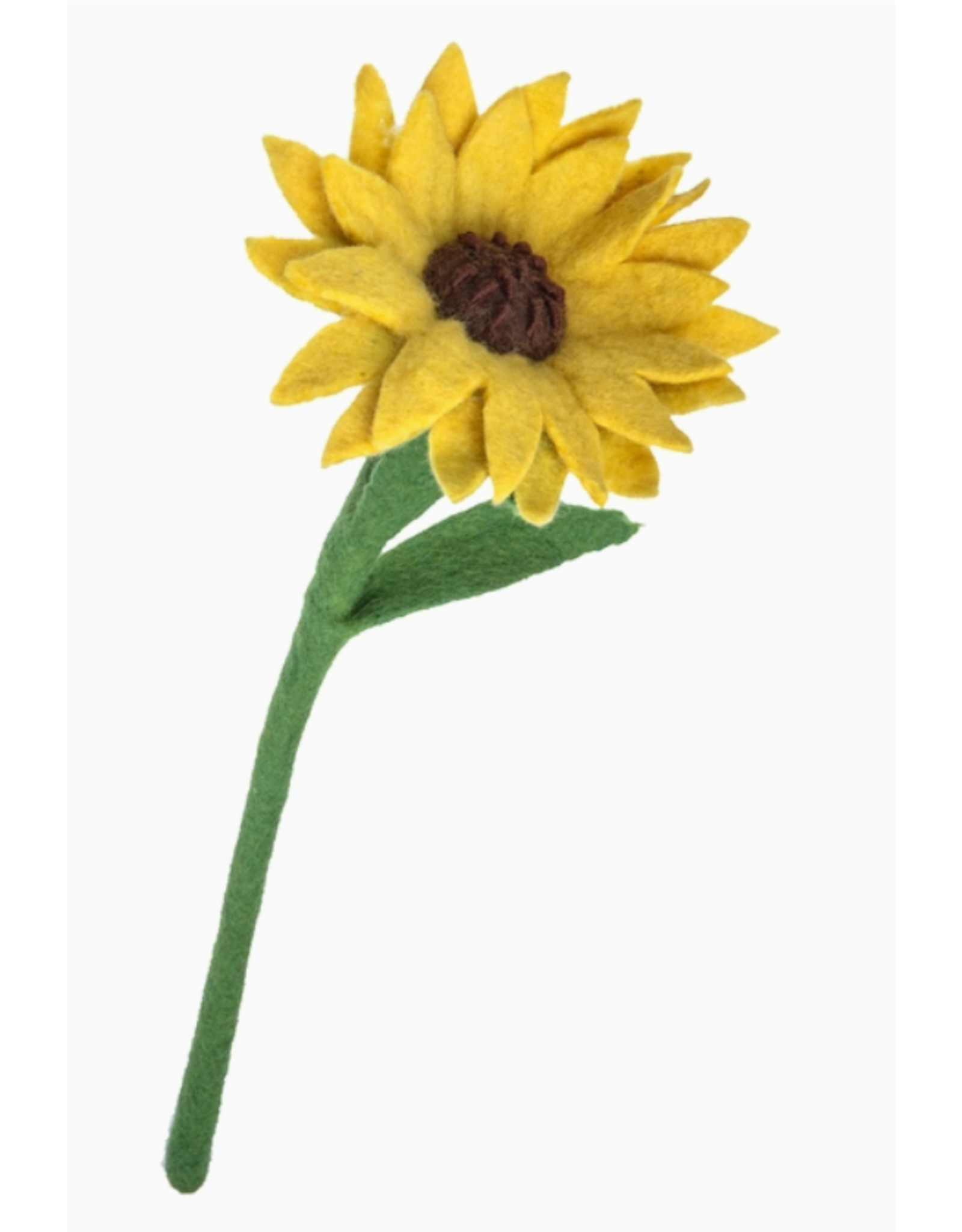 Nepal Felt Sunflower, Nepal