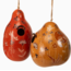 Peru Bee & Wild Flowers Gourd Birdhouse