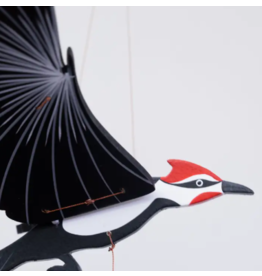 Colombia Pileated Woodpecker Flying Mobile