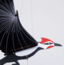 Colombia Flying Mobile - Pileated Woodpecker