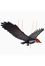 Colombia Pileated Woodpecker Flying Mobile