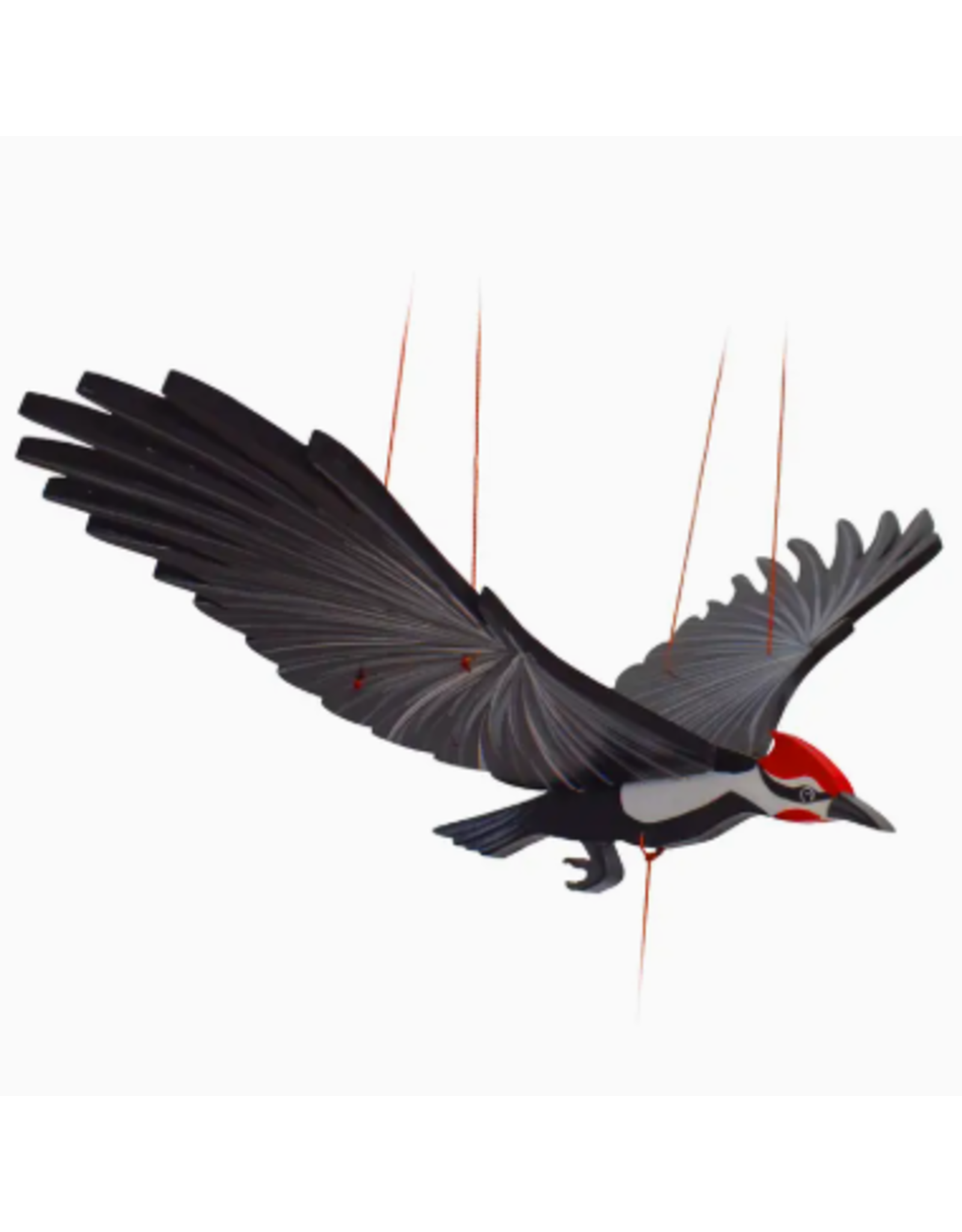 Colombia Pileated Woodpecker Flying Mobile