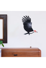 Colombia Pileated Woodpecker Flying Mobile