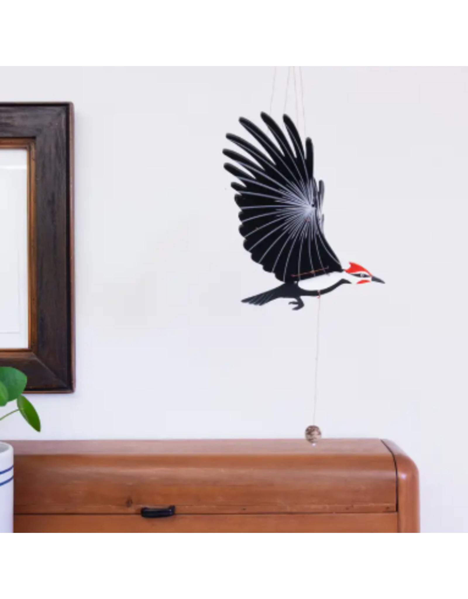 Colombia Pileated Woodpecker Flying Mobile