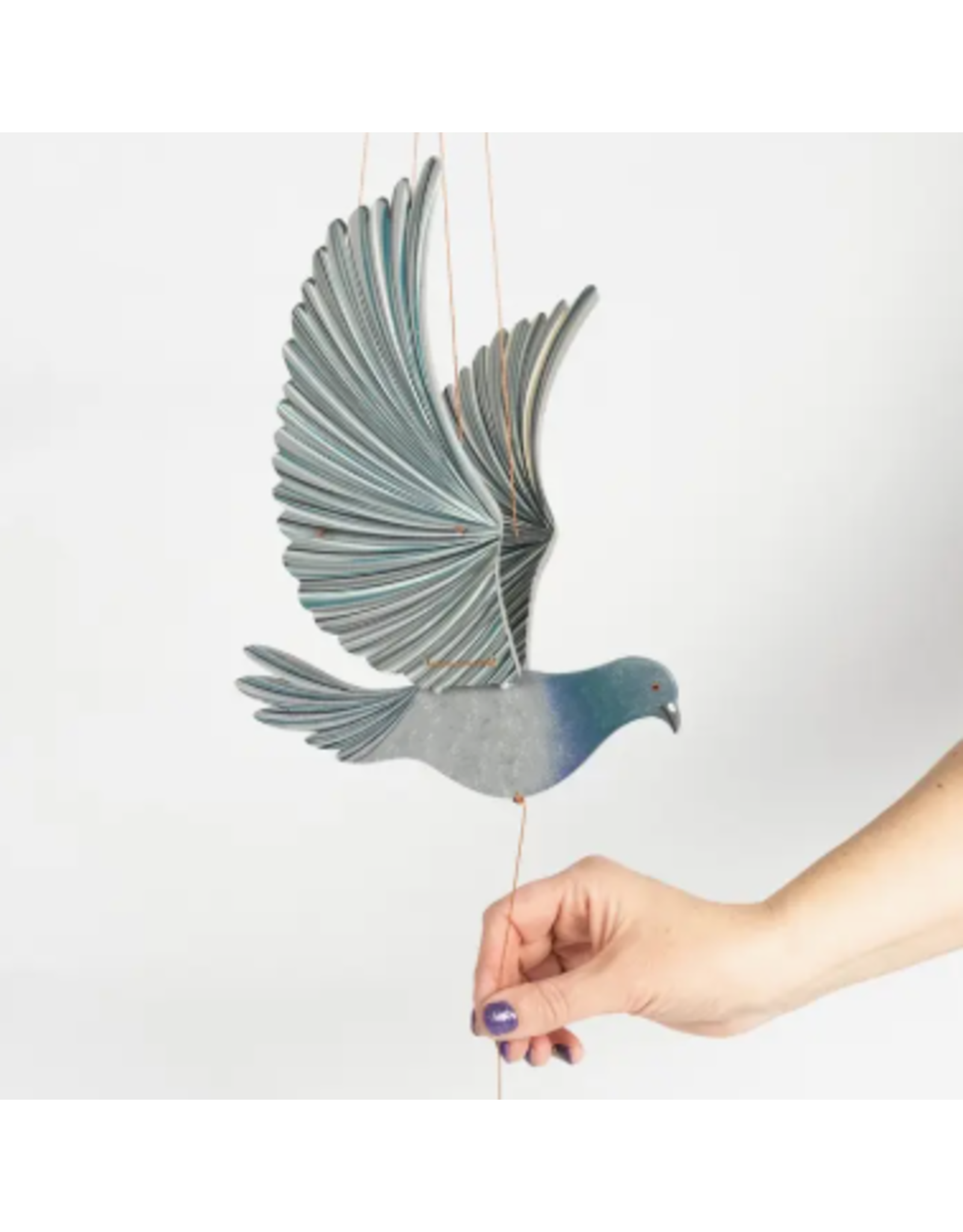 Colombia Pigeon Flying Mobile