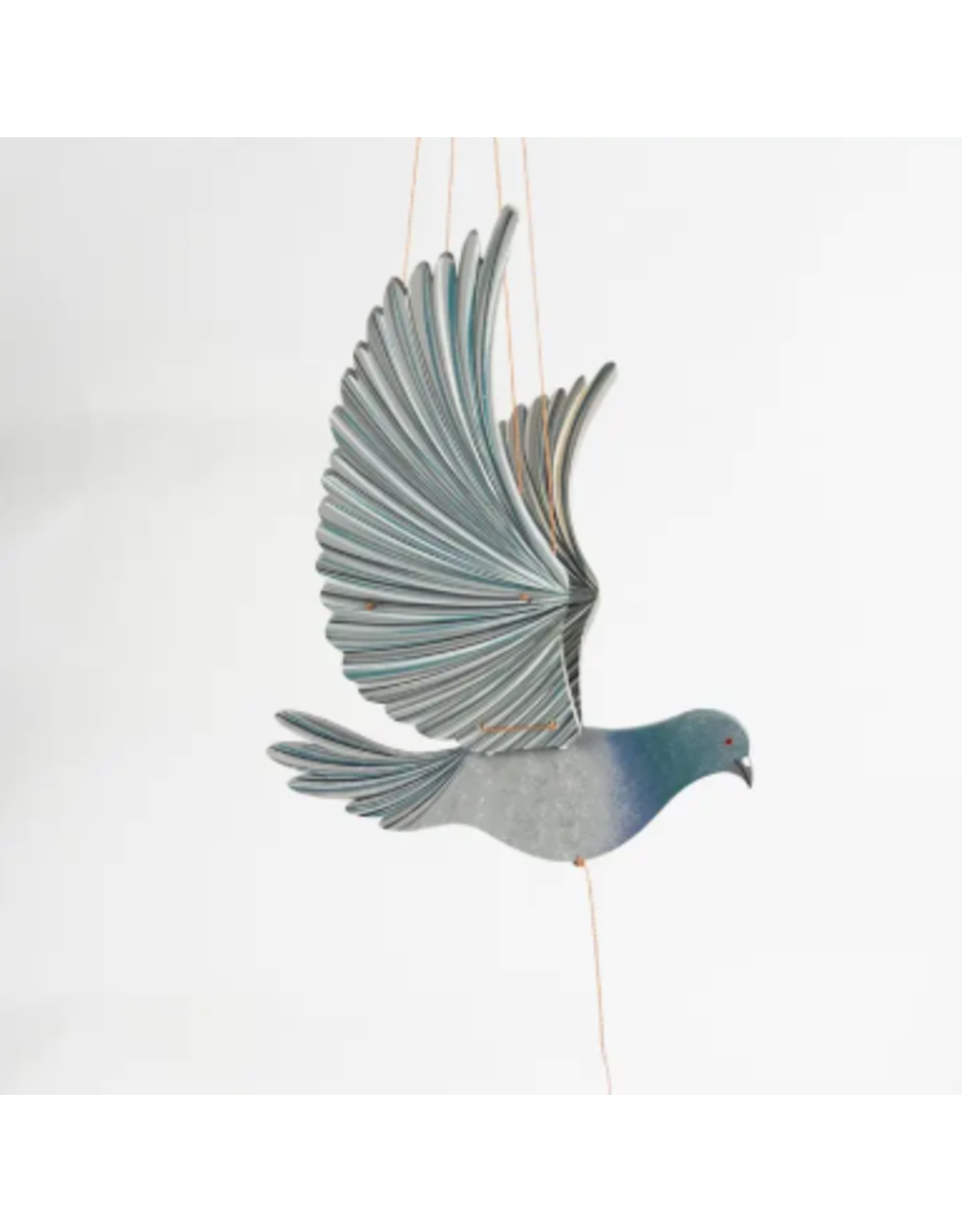 Colombia Pigeon Flying Mobile