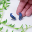 Raven Stud Earrings