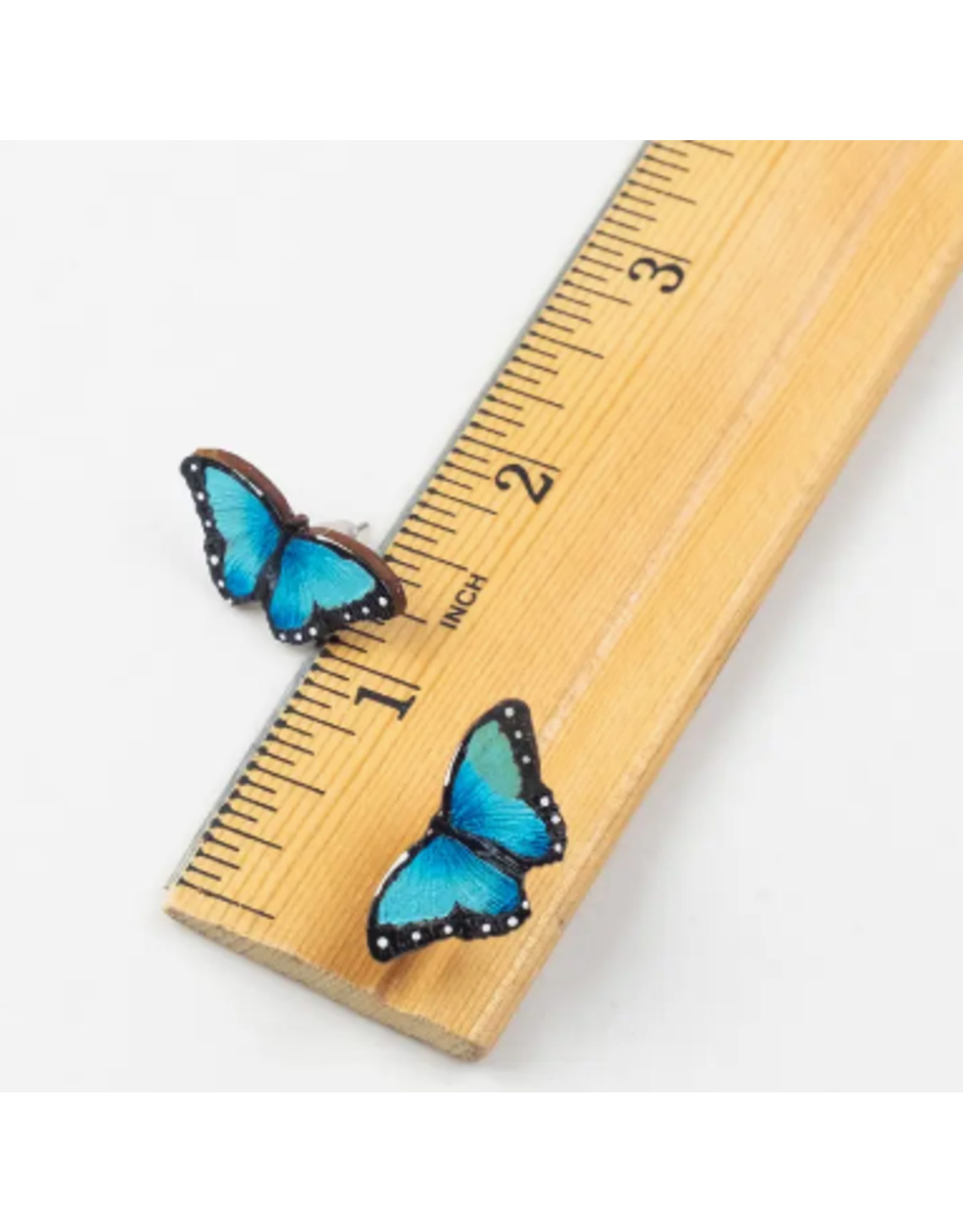 Colombia Blue Morpho Butterfly Stud Earrings