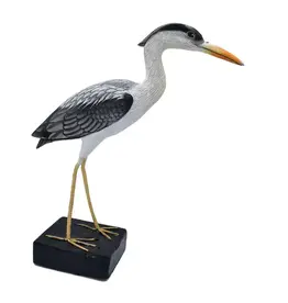 Indonesia Albesia Wood Heron, Indonesia