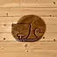 Cat Puzzle Box