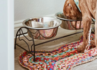 For Pets & Owners