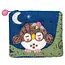 Nepal Owlet Felt Coin Purse