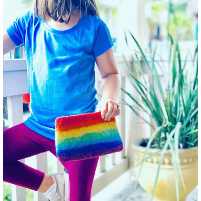 Rainbow Felt Coin Purse