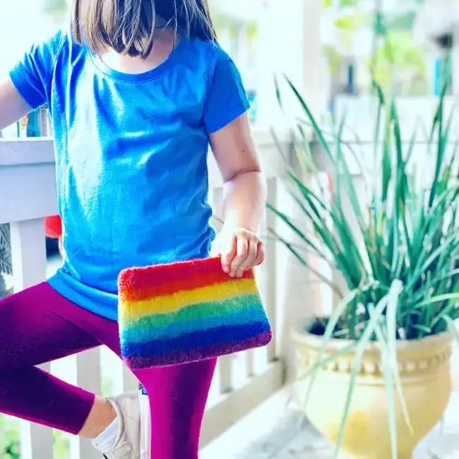 Coin Purse - Rainbow Felt
