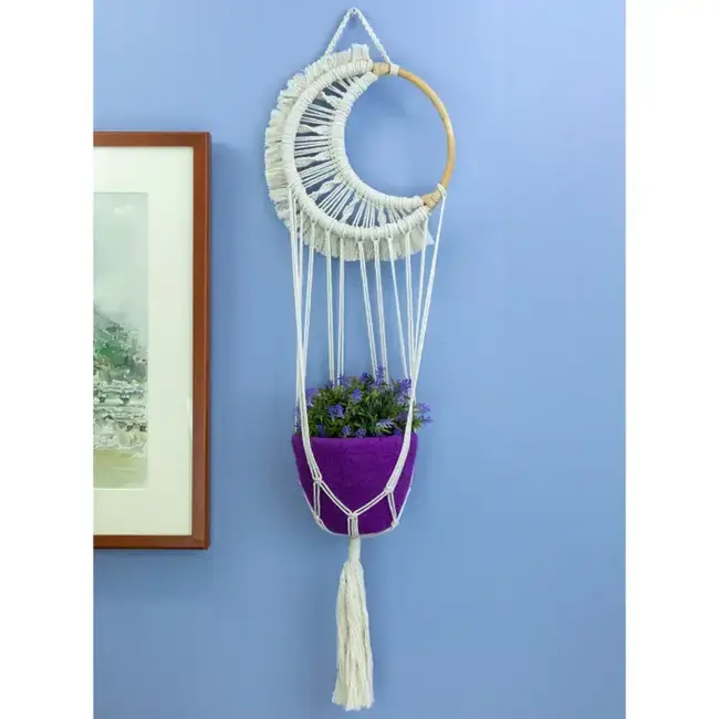 Moon Hoop Plant Hanger