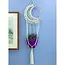 Moon Hoop Plant Hanger