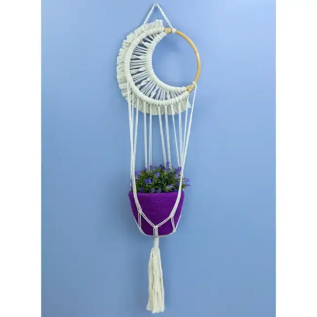 Moon Hoop Plant Hanger