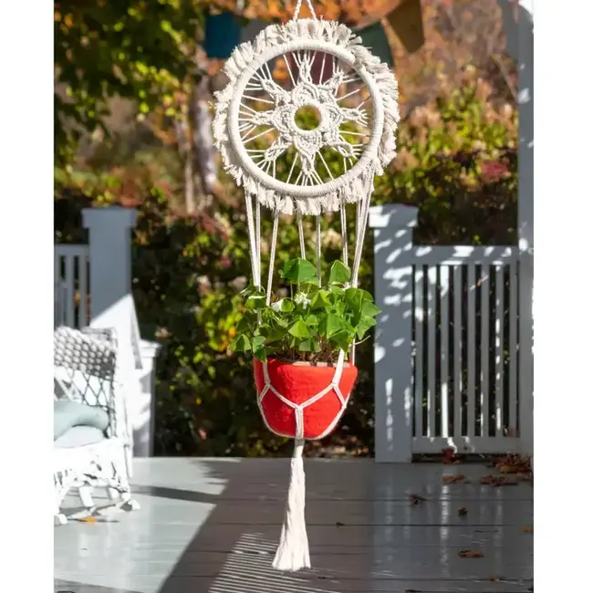 Sun Hoop Plant Hanger