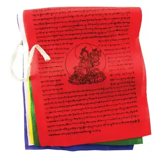 India Tibetan Nuns Project Tara Medium Prayer Flag
