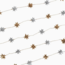 Bangladesh Silver & Gold Palm Star Garland