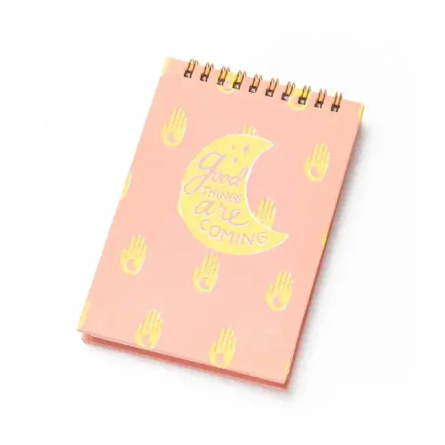 Anju Hamsa Moon 4x6 Spiral Notebook