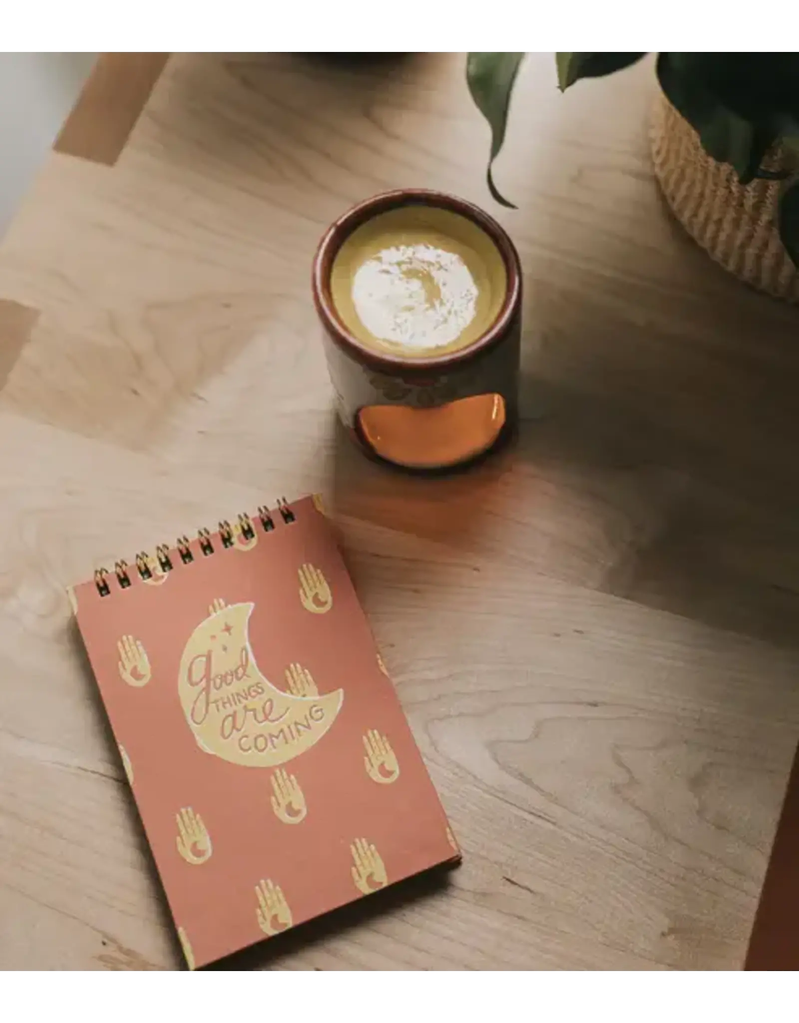 India Anju Hamsa Moon 4x6 Spiral Notebook