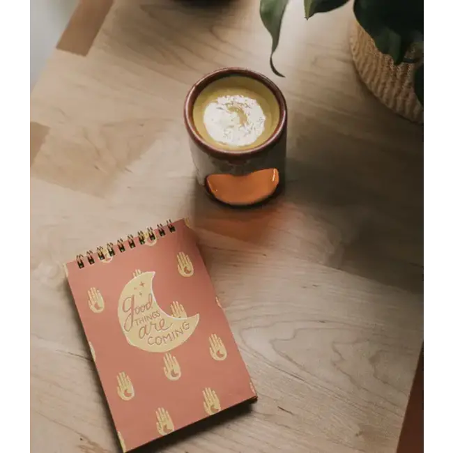 Anju Hamsa Moon 4x6 Spiral Notebook