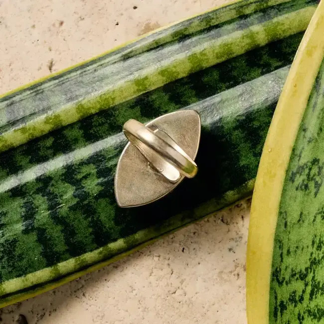 Amkha Silver & Turquoise Ring