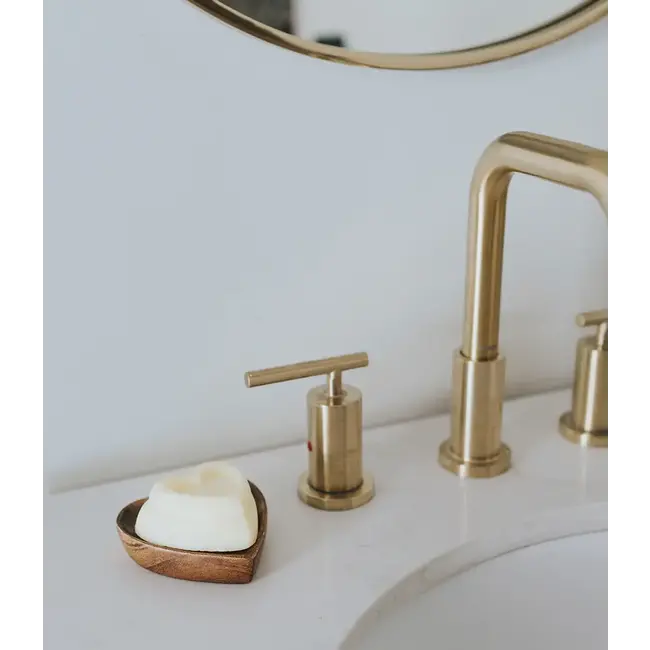 CLEARANCE Aaram Heart Soap Dish Set
