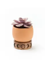 India Indukala Moon Phase Terracotta Plant Pot w/ Wood Stand