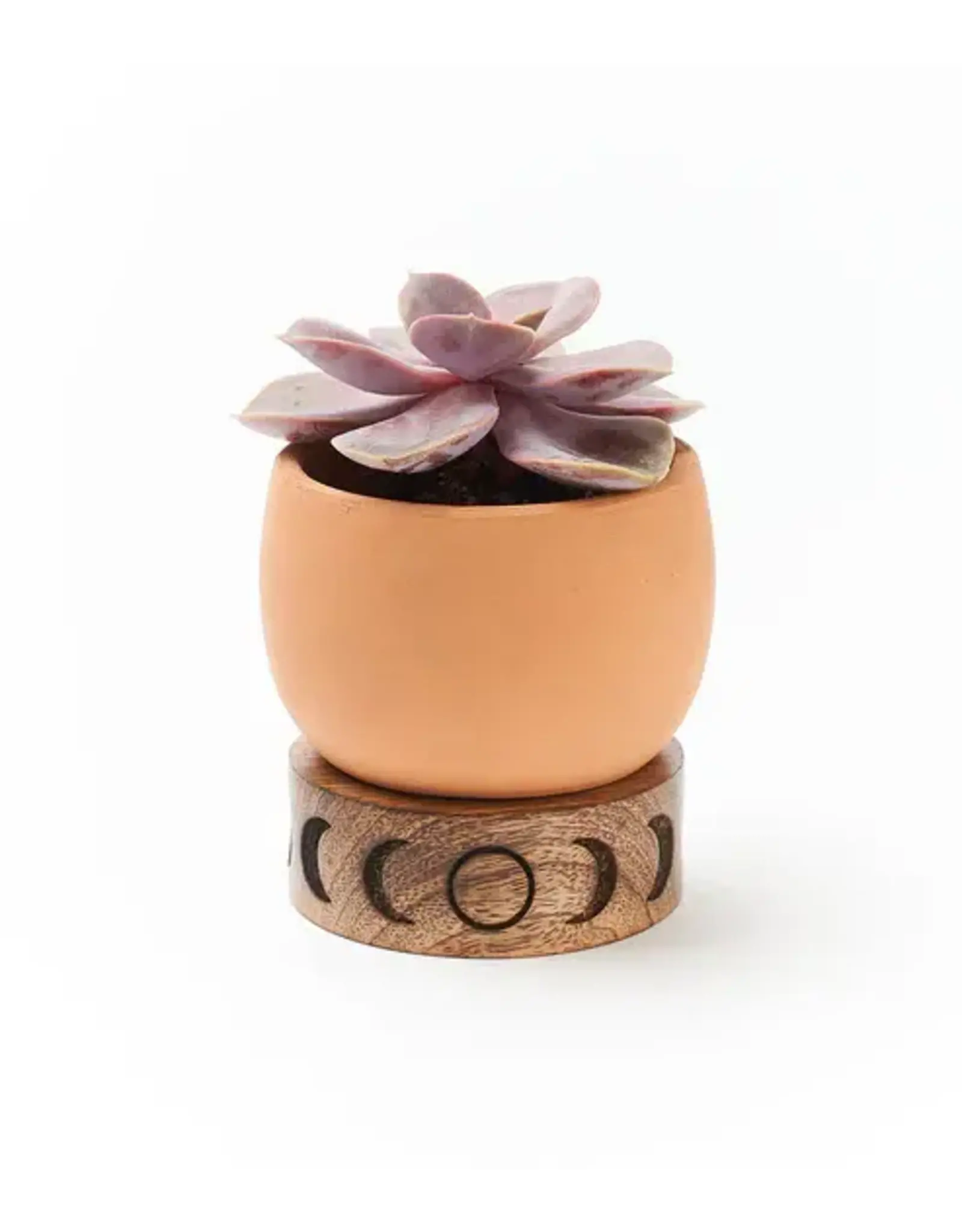 India Indukala Moon Phase Terracotta Plant Pot w/ Wood Stand