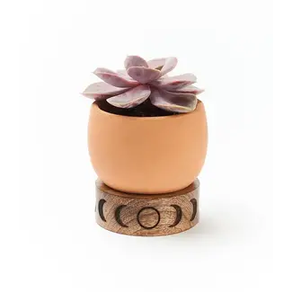 India Indukala Moon Phase Terracotta Plant Pot w/ Wood Stand