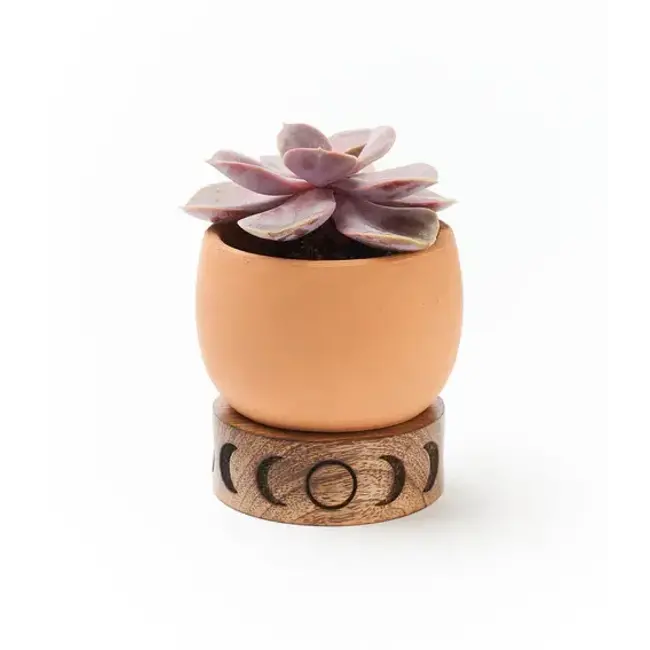 Indukala Moon Phase Terracotta Plant Pot w/ Wood Stand