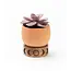 India CLEARANCE Indukala Moon Phase Terracotta Plant Pot w/ Wood Stand