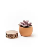India Indukala Moon Phase Terracotta Plant Pot w/ Wood Stand