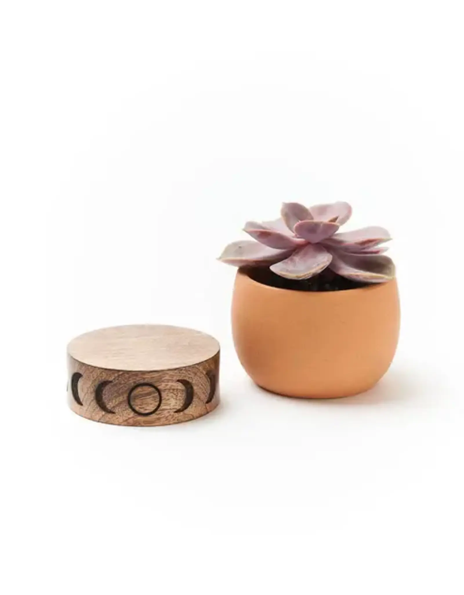 India Indukala Moon Phase Terracotta Plant Pot w/ Wood Stand